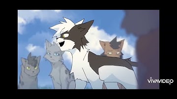 GORE AND BLOOD WARNING! Warrior cats swiftpaw edit!#warriorcats#hamilton#swiftpaw