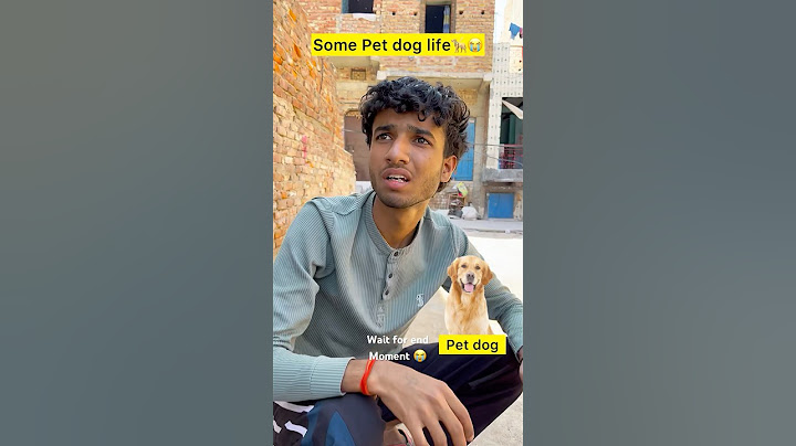 Street dog vs pet dog life 💔 #shorts #trending