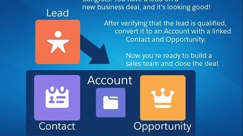 Salesforce User Basics | Get Started with Salesforce | In Hindi | Fun Way Of Learning