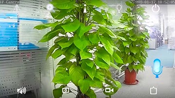 Video Instruction for Setup of Luowice Wireless IP Camera B3