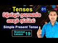 Simple Present Tense 01 English Grammar Lesson In Sinhala Grammar Lesson 19 Simple Present Tense 01 English Grammar Lesson In Sinhala Grammar Lesson 19