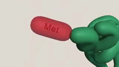 Por que as enzimas são consideradas proteínas?
