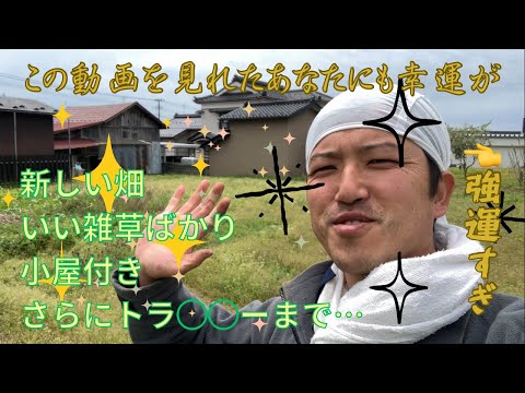 81【奇跡の新天地】新しい畑+小屋+◯◯まで！2025.5.6