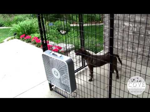 Video: Produk Shade and Cooling Dog