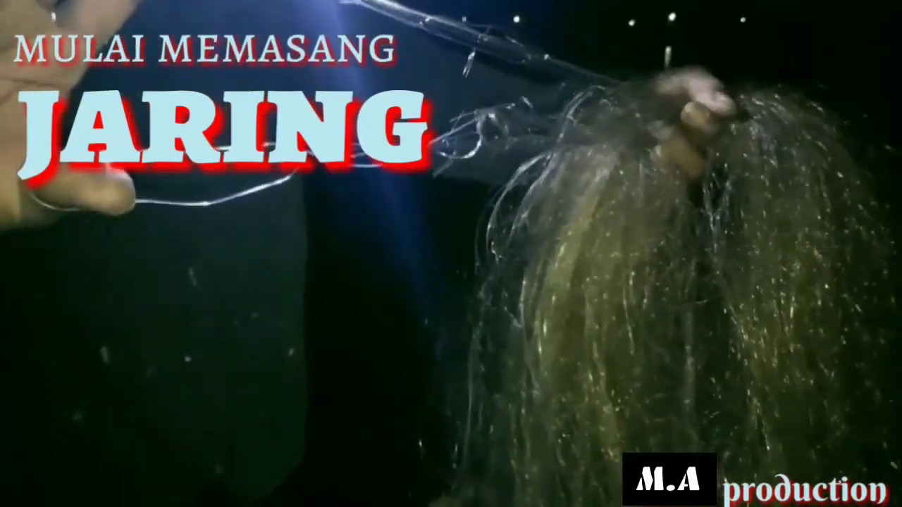 Cara mudah menjaring burung ayam ayaman di malam hari 