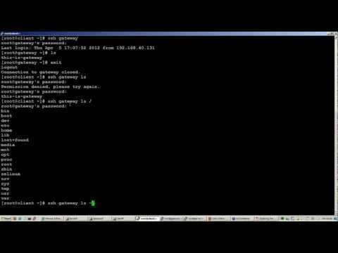 Inline Commands Execution