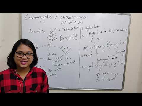 Video: Hvad er funktionen af carboxypeptidase?