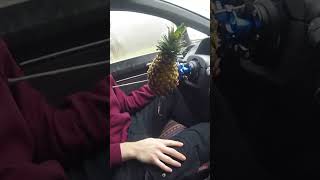 Pineapple Steering Wheel