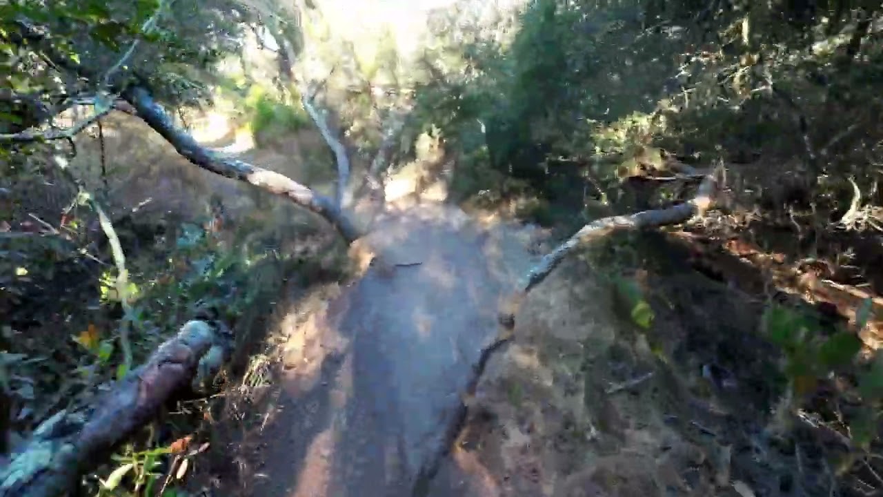 Meditative Mountain Biking FPV Through Magical Forest (Tunnels, Del Mar Mesa Preserve)