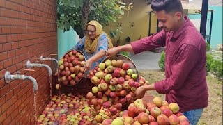 Apple Murabba Recipe🍎🍎🍎 Prepared By Granny सेब का मुरब्बा Seb Ka Murabba Veg Village Food