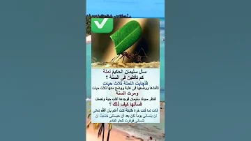 أقوال وحكم عن الحياة اجمل ما قيل عن الدنيا حكم اقوال امثال اقتباس 