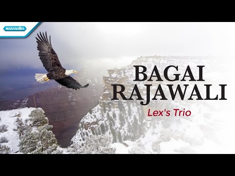 Bagai Rajawali - Lex's Trio (with lyric)