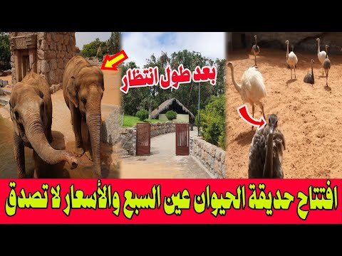 بعد 10 سنوات من الانتظار افتتاح حديقة الحيوان عين السبع بالدار البيضاء والأسعار لا تصدق