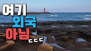 사계해안 풍경 미쳐따 ㄷㄷ feat.용머리해안 갈 때 주의할점