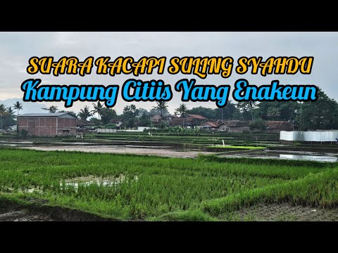 IRINGAN SUARA KACAPI SULING SUNDA MEMANG ADUHAI ....CITIIS YANG SUPER ENAK .