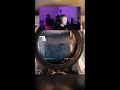 Have You Ever Played Warzone On A 360Hz Monitor Have You Ever Played Warzone On A 360Hz Monitor