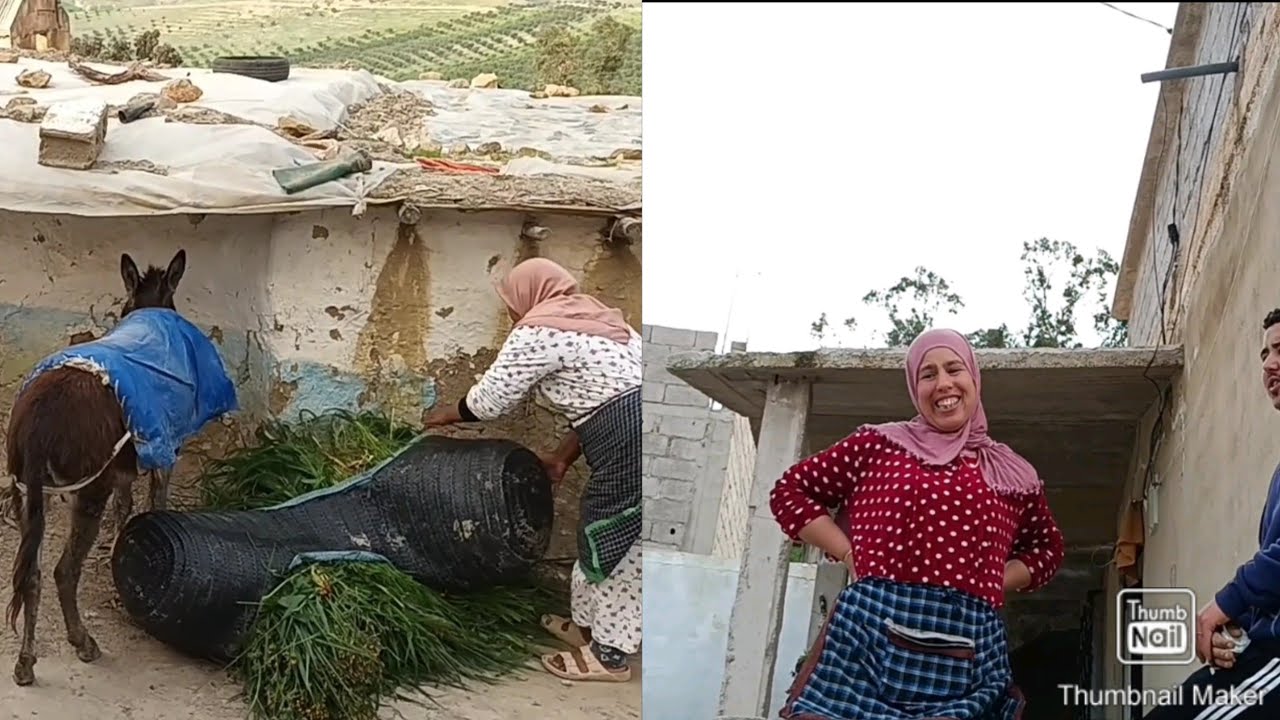 هذشي واقع وحنا فدار غفلون... الله يلبق ستر😯0696823505