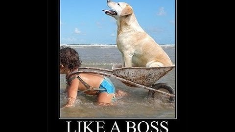 how to stack killstreaks in mw3 by shadowmaster