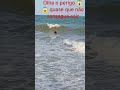 no mar há perigo para todo lado 😱😱