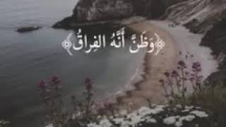 سورة القيامة بصوت الشيخ ماهر المعيقلي