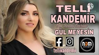 Telli Kandemir - Gülmeyesin 2022 Resimi