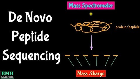 De Novo Peptide Sequencing | Tandem Mass Spectrometry Protein Sequencing |