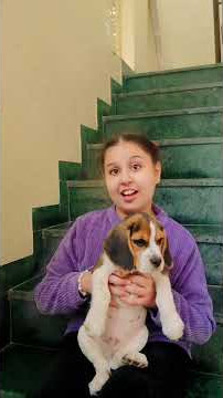 First video with ORRIE🐶❤️ #trending #viral #youtubeshorts #shorts