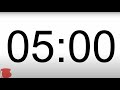 5 minute timer with visualizations quiet until the end