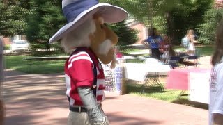 Colonel Reb Foundation in full force at student organization fair
