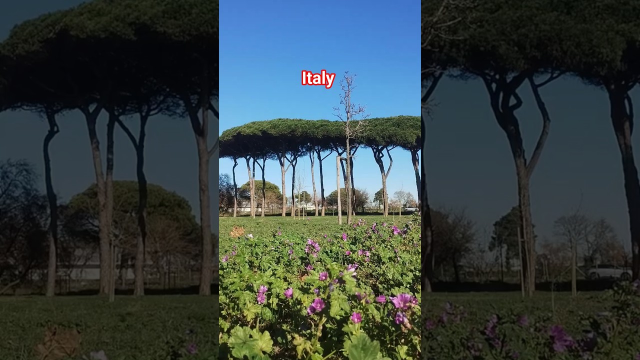 Italy🇮🇹👍 #short videos #viral #YouTube #trending