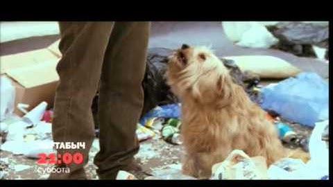 Если программист встретил джинна