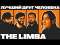 THE LIMBA: Как Тик Ток меняет музыкальную индустрию x ЛУЧШИЙ ДРУГ ЧЕЛОВЕКА