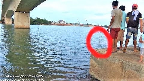 Câu Cá Chẽm (Cá Vược) Cuộc Đọ Sức Qúa Gây Cấn