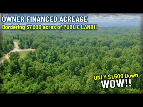 $1,500 Down - Owner Financed MO Land BORDERING National Forest for more hunting and recreation! DB18