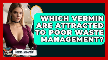 Which Vermin Are Attracted To Poor Waste Management? - Insects and Invaders