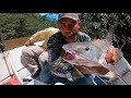 Pesca de Barbiancho, Palometa y Sierra