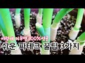 대파 이렇게 키우면 100% 돈 절약됩니다 | 쉬운 파테크 방법 ☘Raising Green onions in the home