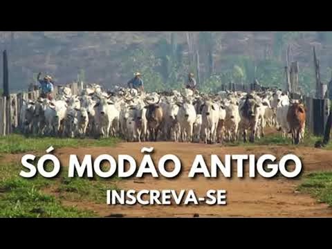 Modão das Antigas   Sucessos Sertanejos só Modão de Raiz