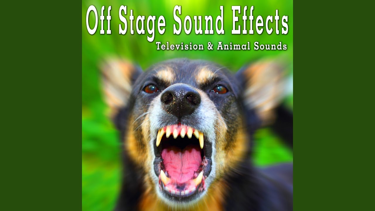 Television Female Weather Report, Through Thick Wall Perspective