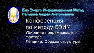 7 БЭИМ. Убирание повреждающего фактора  Лечение  Образы структуры