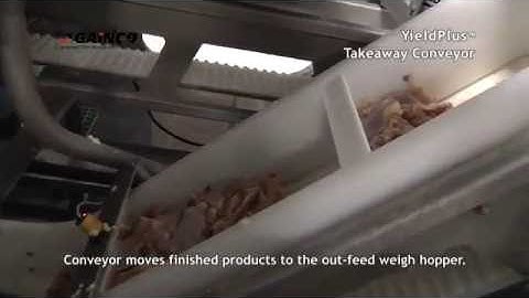 Gainco YieldPlus® Debone/Trim Management System – Takeaway Container