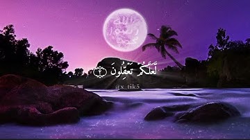 ماتيسر من سورة يوسف للقارئ مأمون التائب 🤍🌹
