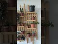 Repizas #vinos #botella #madera # rustico # colonial #maticas #sillas #banca #pared