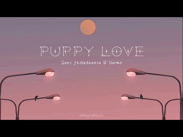 Gani - Puppy Love // Lyrics class=