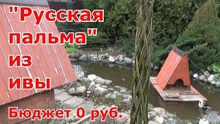 Плетеное живое дерево из ивы своими руками "Русская пальма". Мои ошибки, которых не стоит делать.