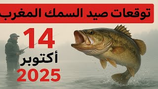 توقعات الصيد في المغرب لأربعة عشر أكتوبر ألفين وخمسة وعشرين: فرص ممتازة تنتظرك!