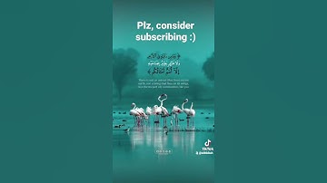 كنتم خير امة اخرجت للناس سورة آل عمران #آل_عمران