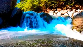 The Best of 4k Taylor River Stream in USA. Relaxing River Sounds, White Noise for Sleep, Study