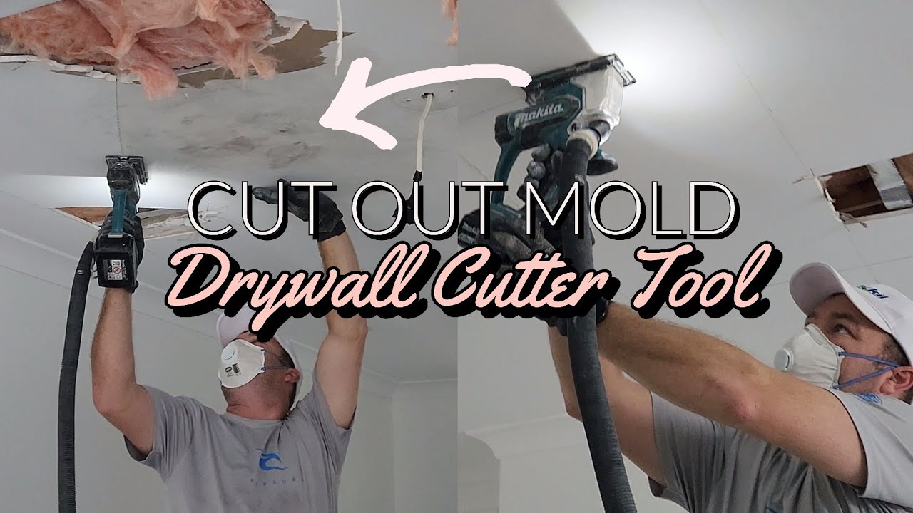 How To Remove Mold From Drywall Ceiling