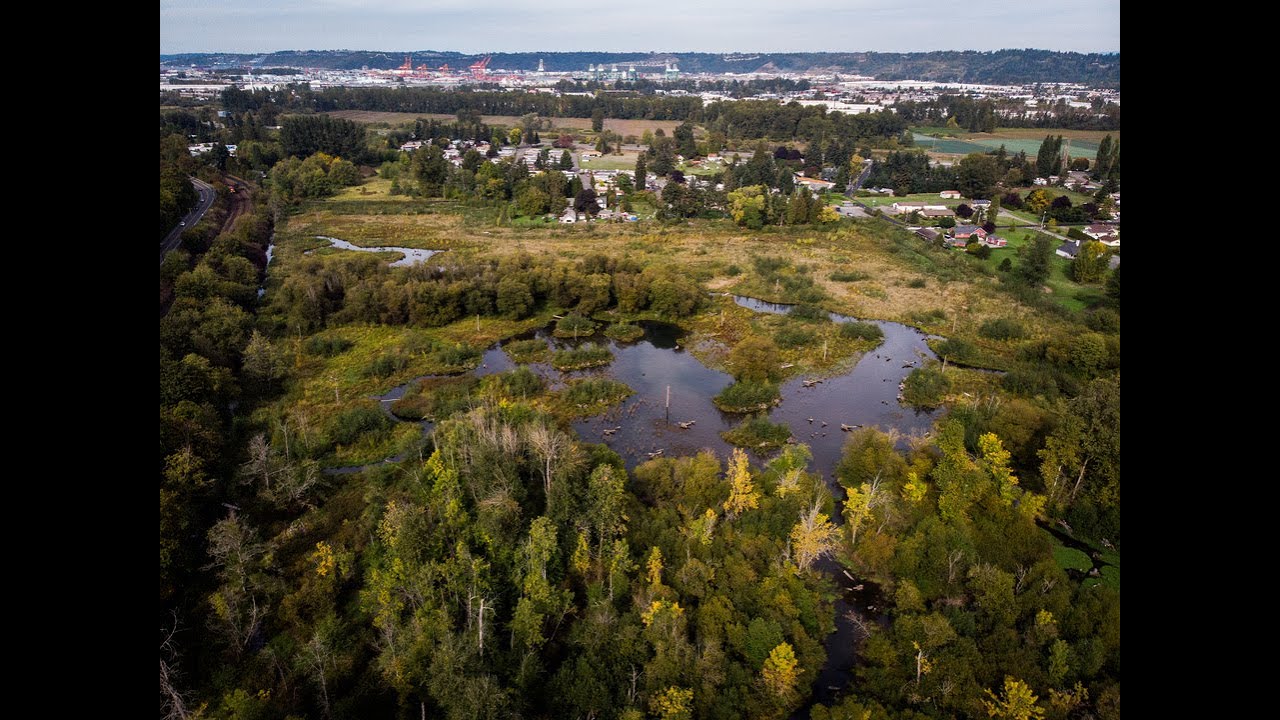 Upper Clear Creek Mitigation Site showing dividends - YouTube
